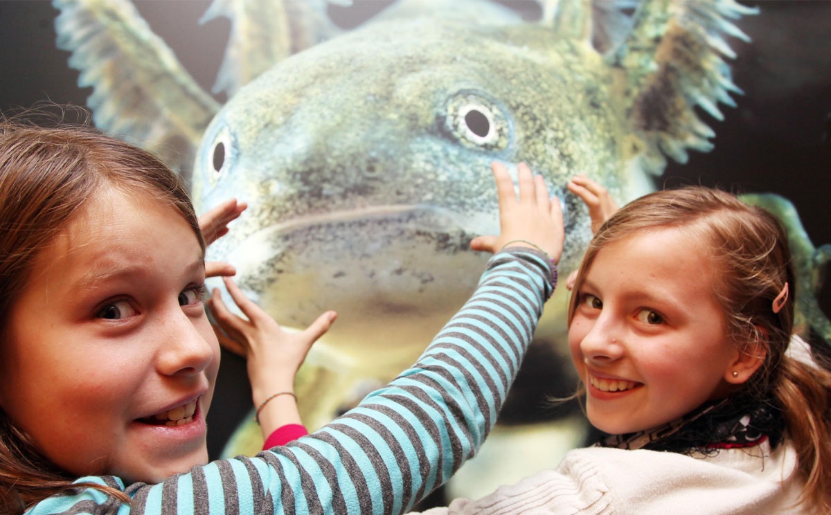 Abenteuer Museum Haus der Natur Salzburg