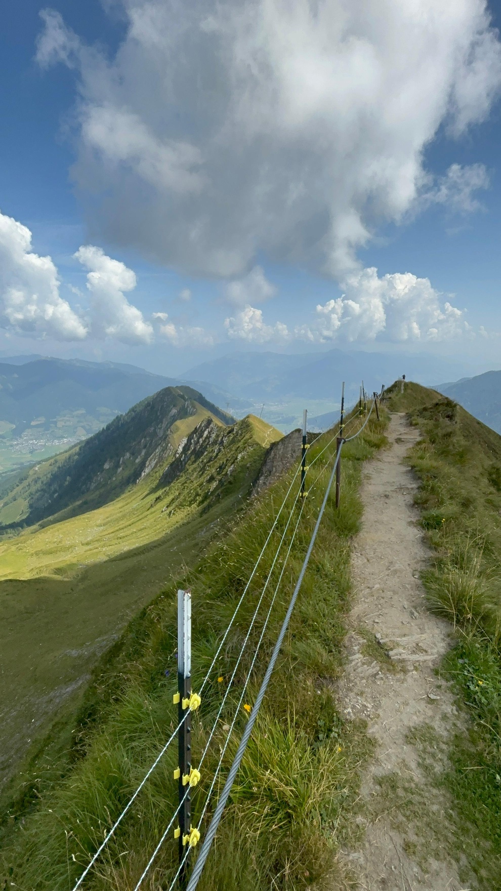 Alexander-Enzinger-Weg