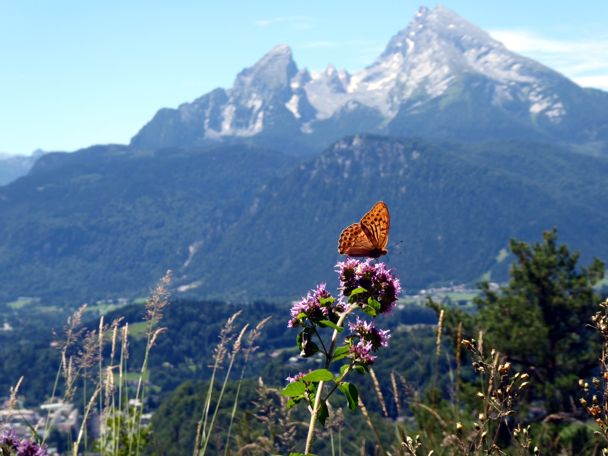 An ultralight hike to Marxenhöhe with a view of the Watzmann mountain group.