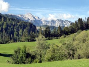 Blick auf das nördliche Tennengebirge mit den Wieselsteinen.