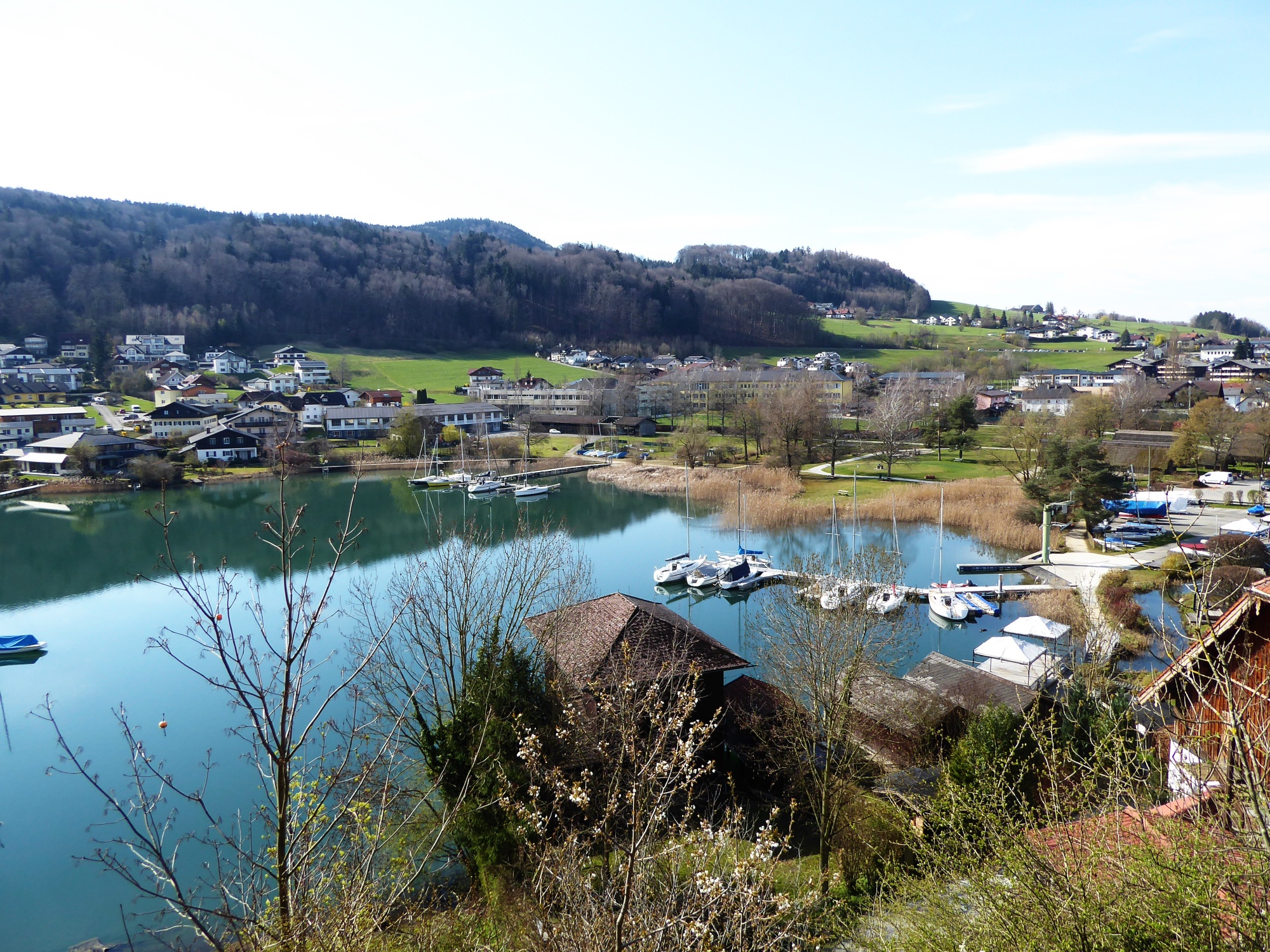 Der Blick vom Schlossberg über die Weyerbucht auf den Buchberg.