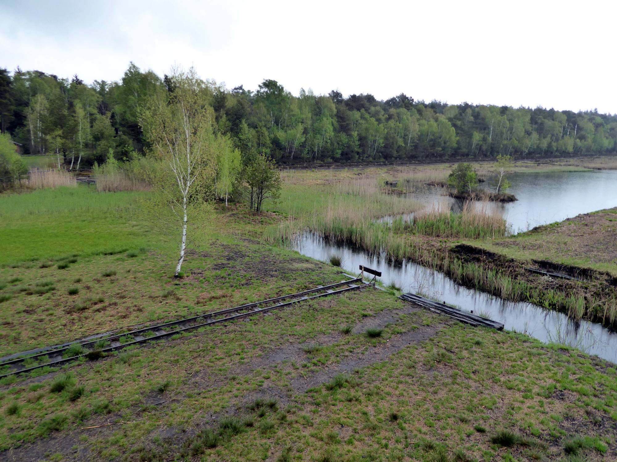 Final stop peat extraction. Now the moss is coming back into shape.