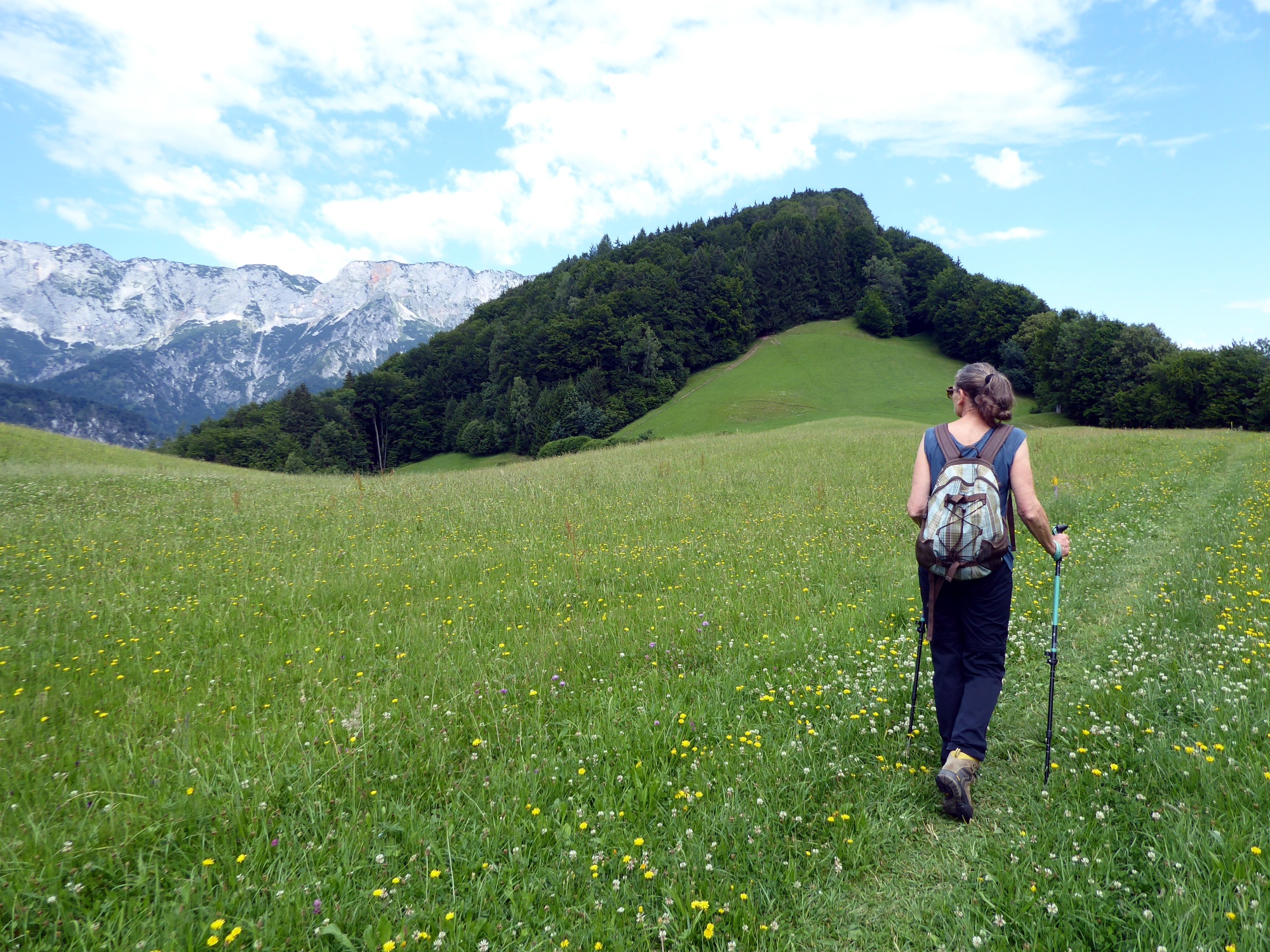 Grenzenloses Wandern mit Blick auf Götschen und Untersberg.