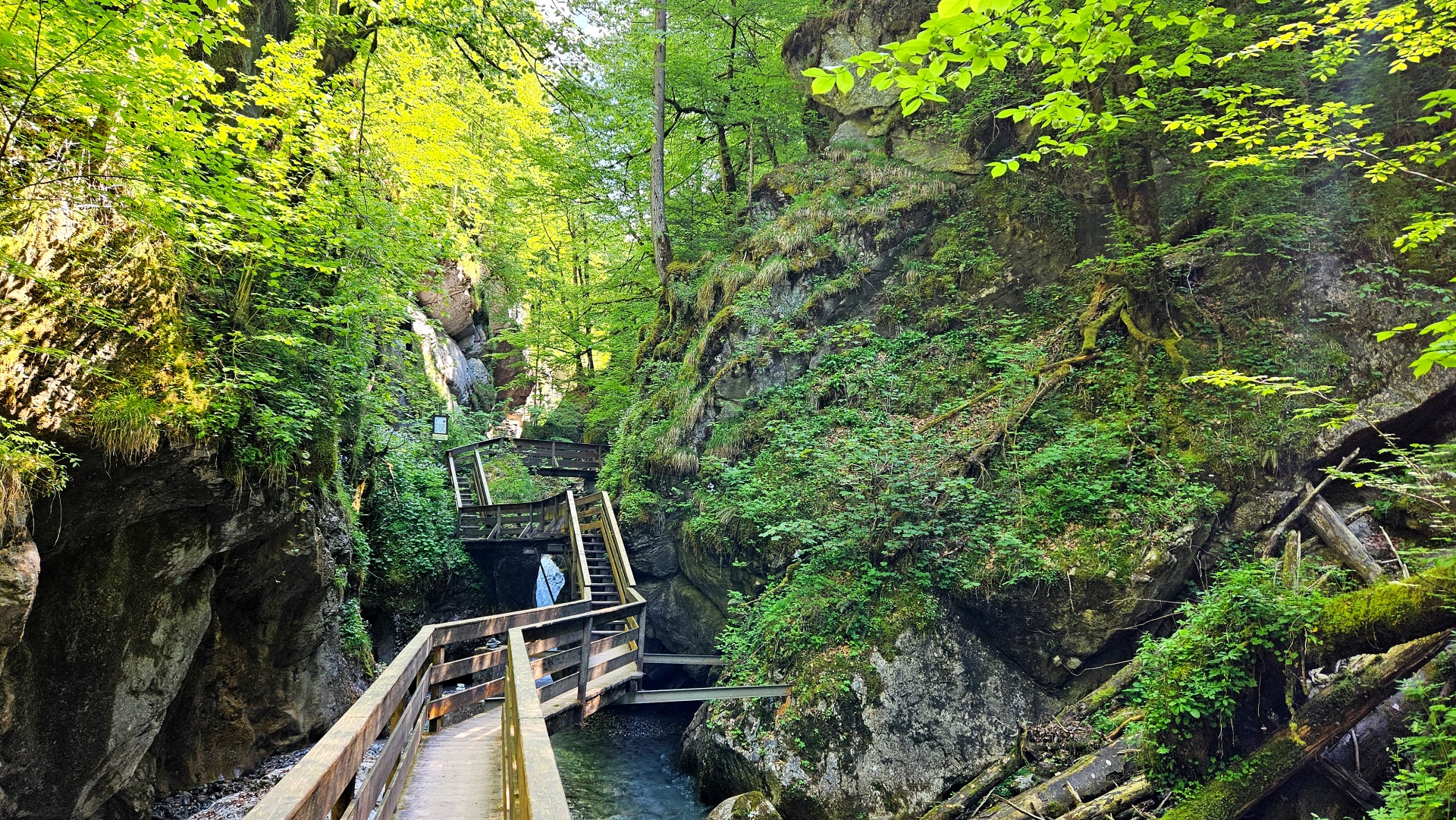 Seisenbergklamm – Naturparadies zum Entdecken