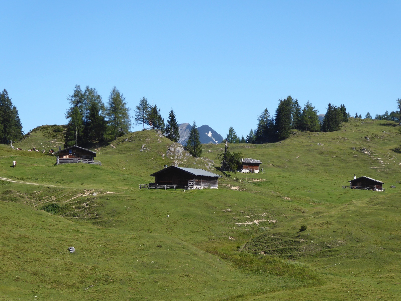 The huts of the Thälernalm with the Thälerer Kogel, in the background the Sonntagshorn.