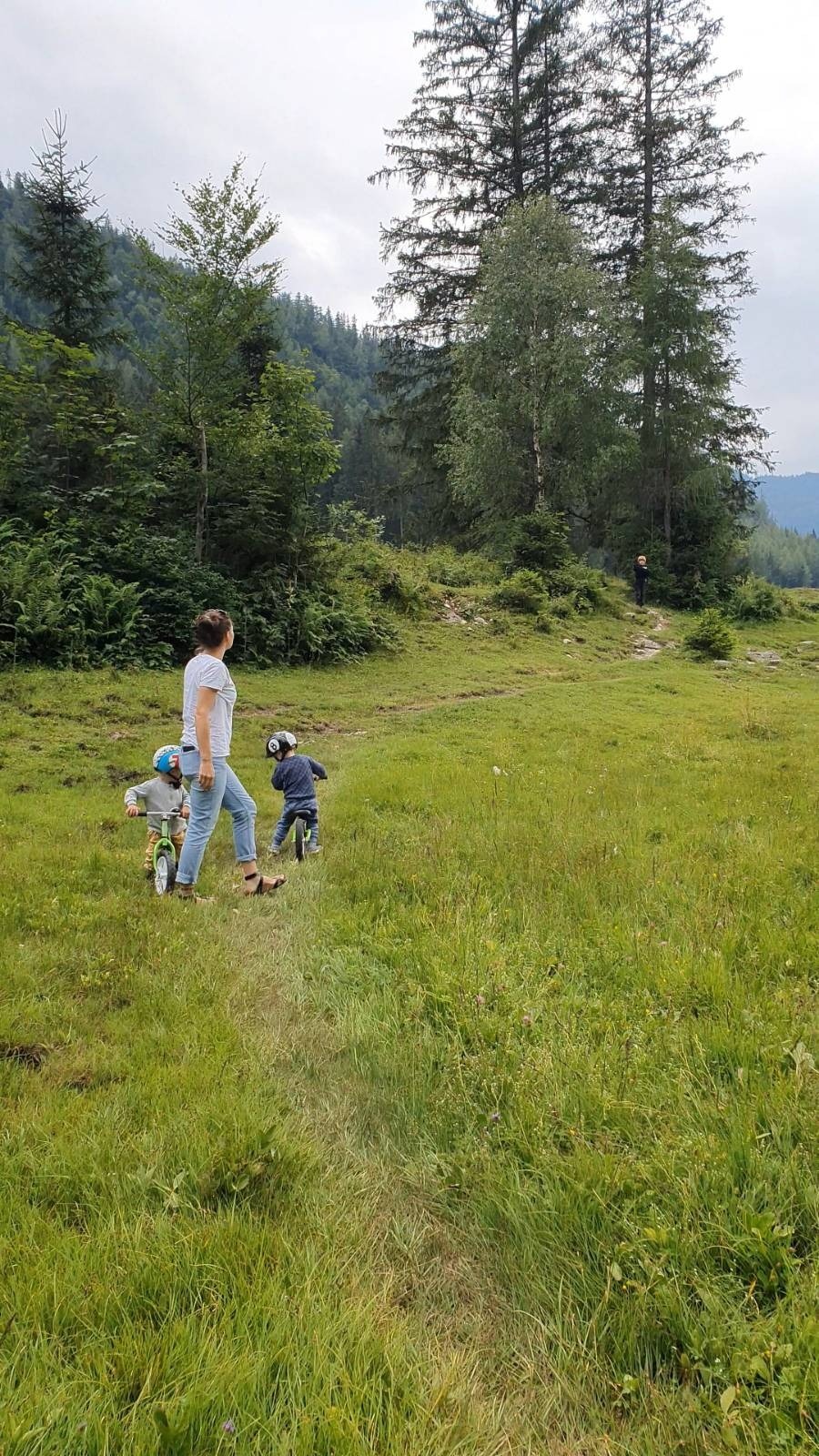 Wanderung zum idyllischen Seewaldsee