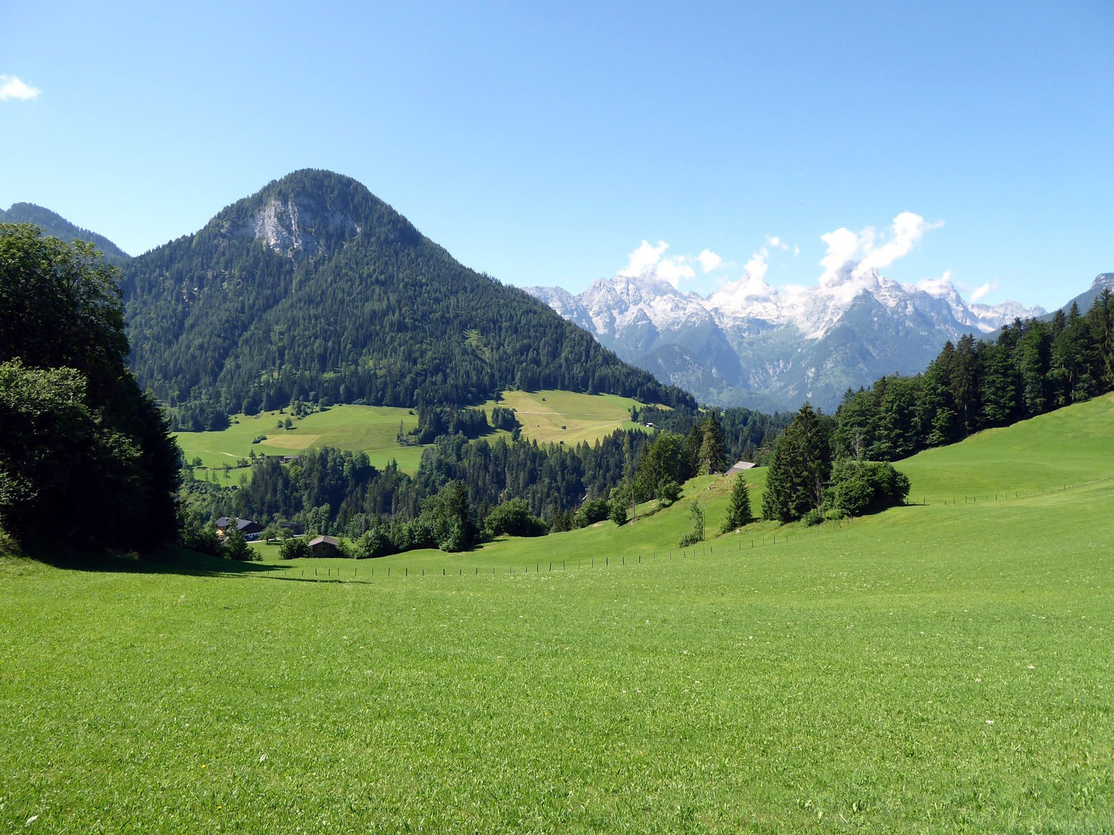 At the highest point in Mayerberg with a view of the Loferer Steinberge.