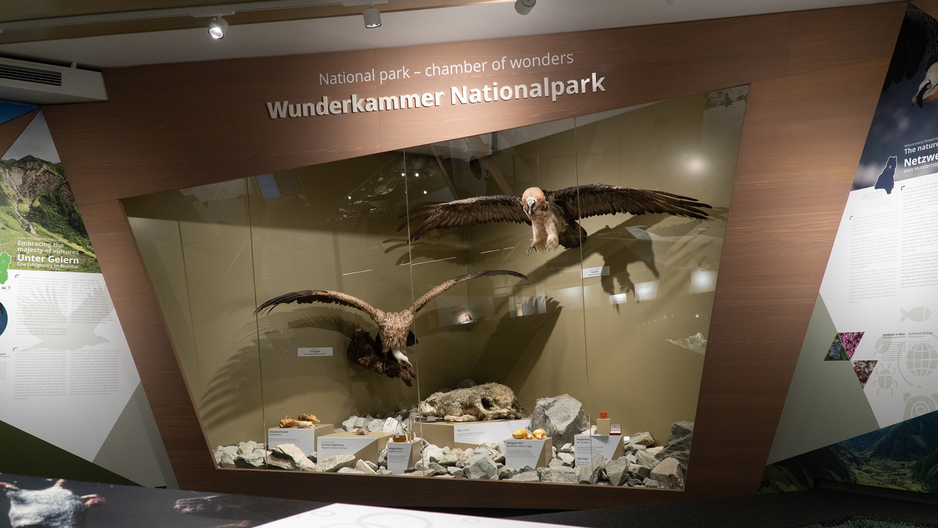 Chamber of Wonders National Park in the exhibition "Im Facettenreich"