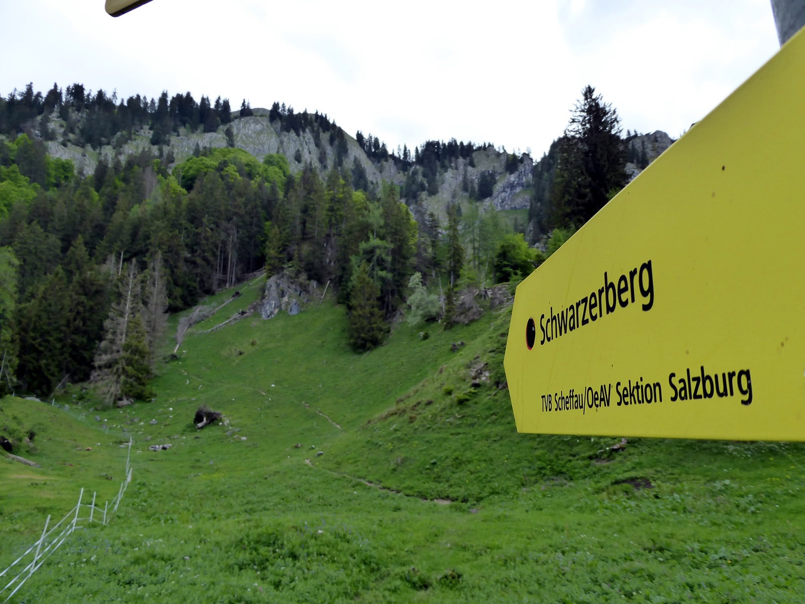 From the Lehngriesalm, the difficult, half-hour section of the path to Schwarzerberg begins.