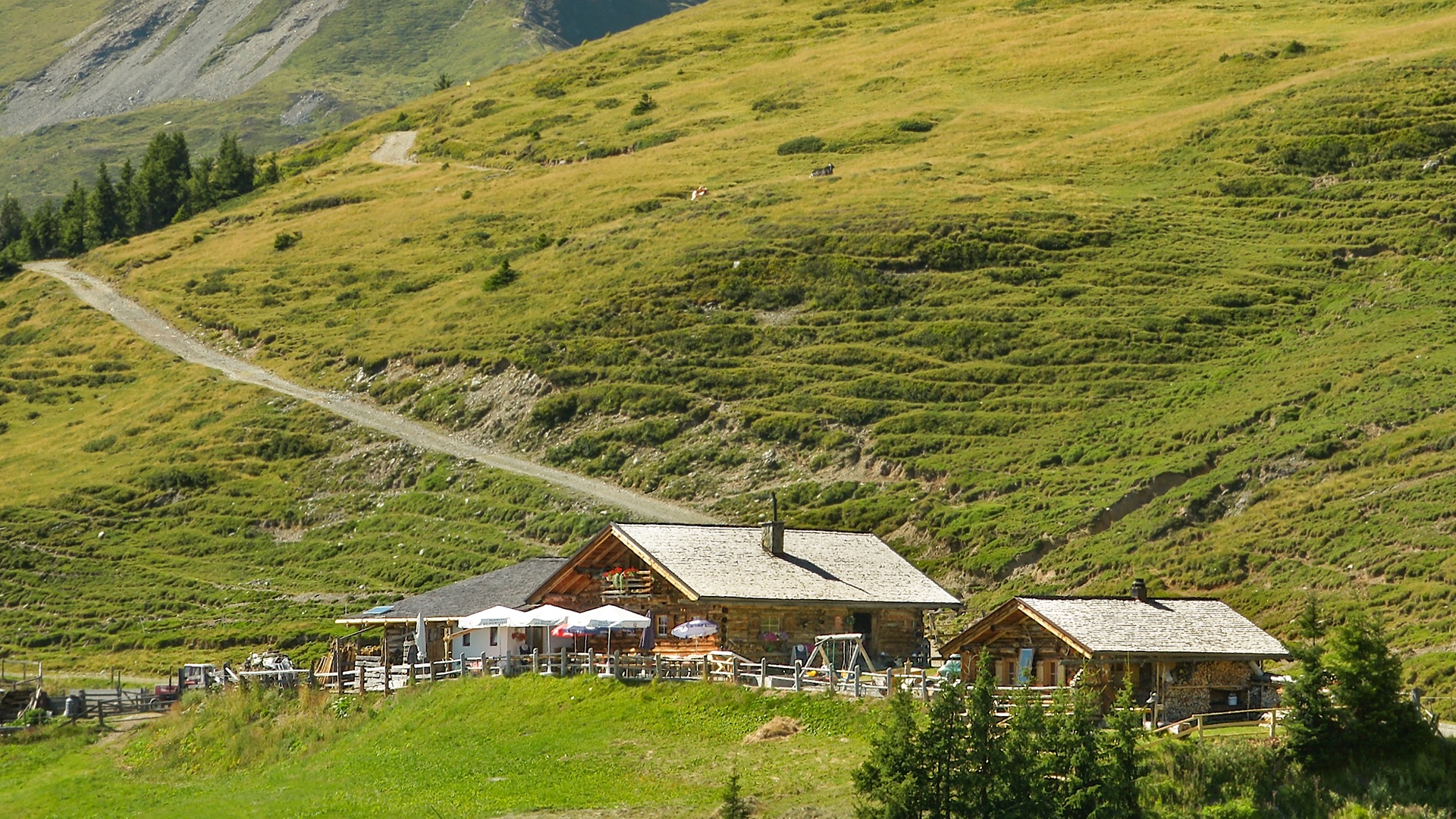 Hochsonnbergalm – Gemütliche Alm zum Entspannen