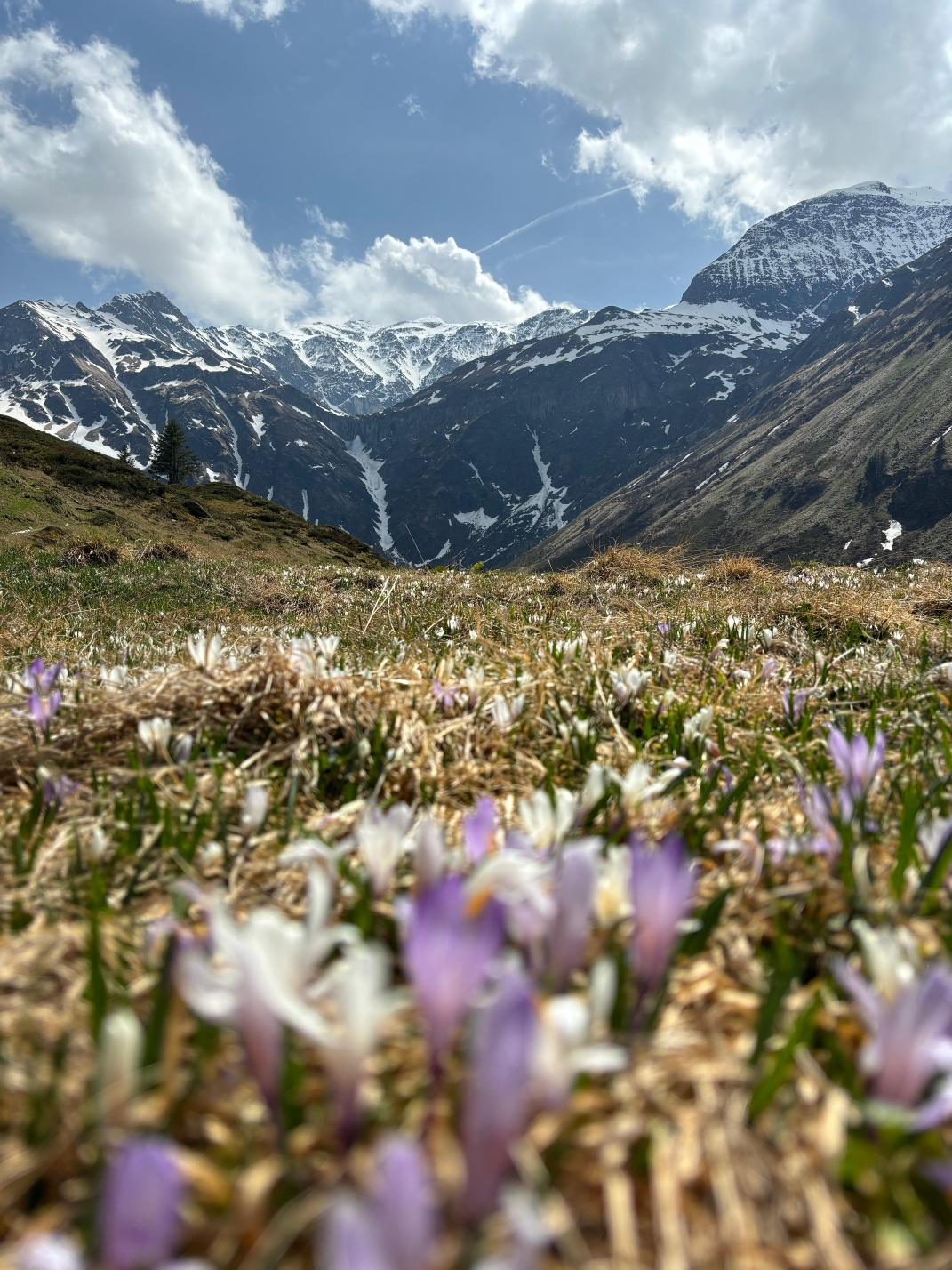 Picturesque hike in Sportgastein