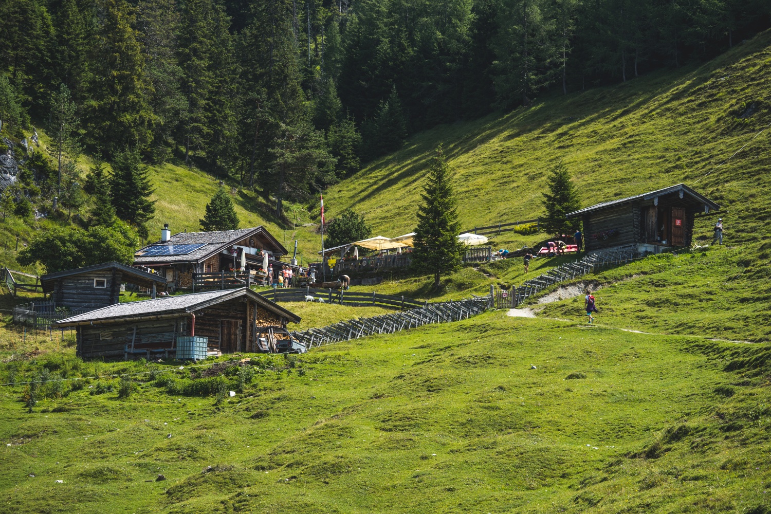 Steinalm Saalfelden