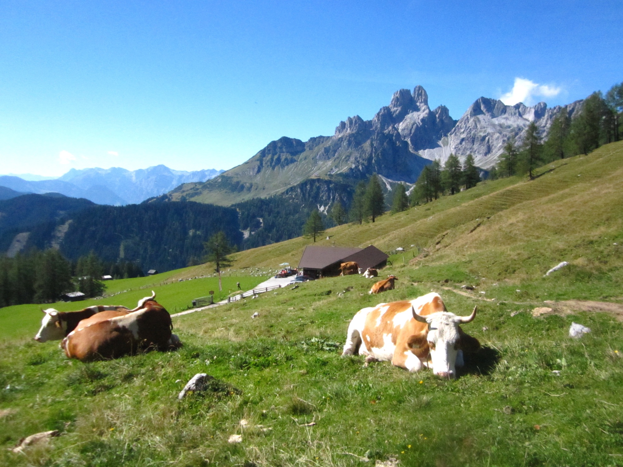 The Krahlehenhütte, a paradise for alpine animals and hikers.