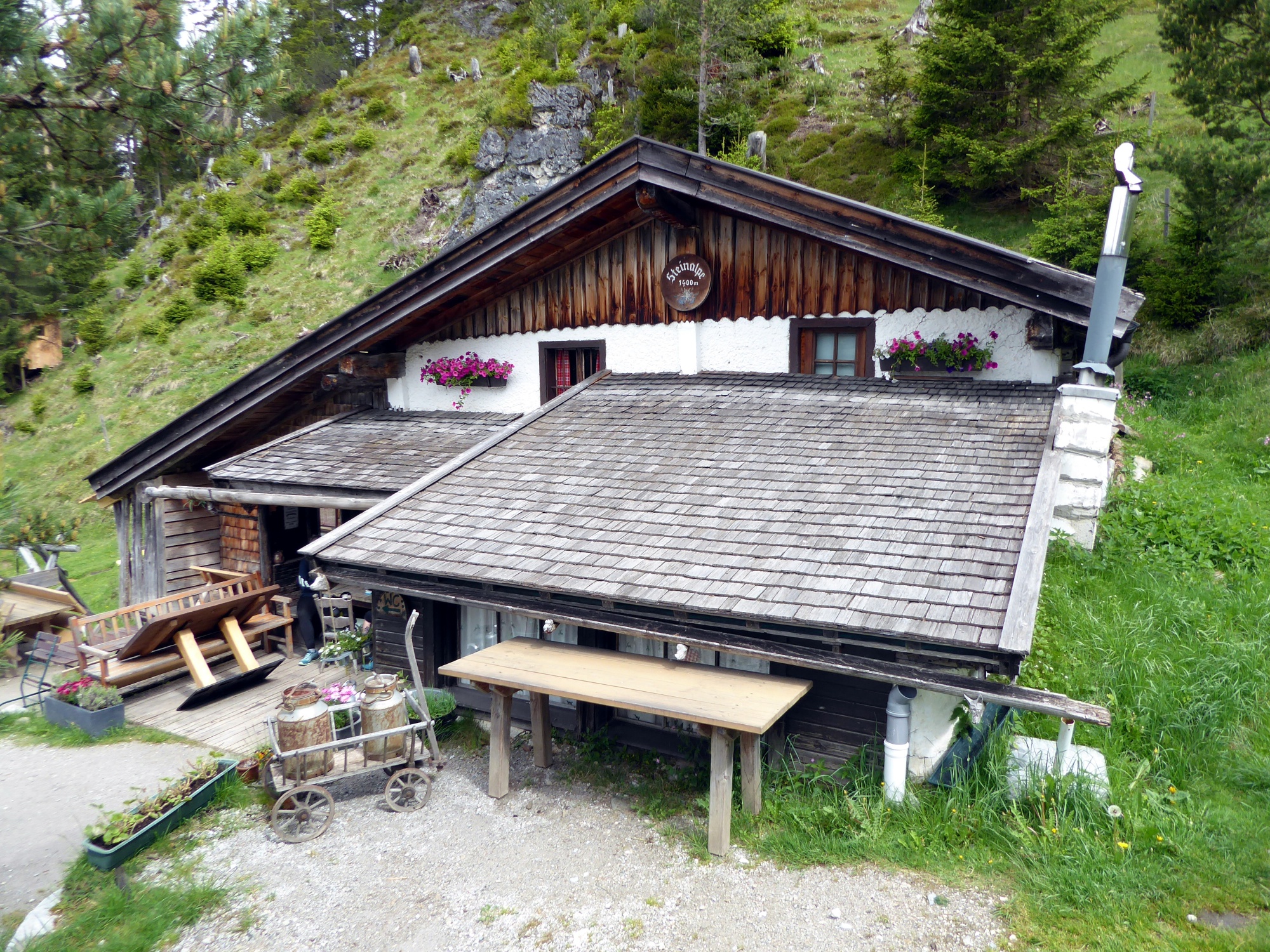 The managed Steinalm can be hiked on several routes.