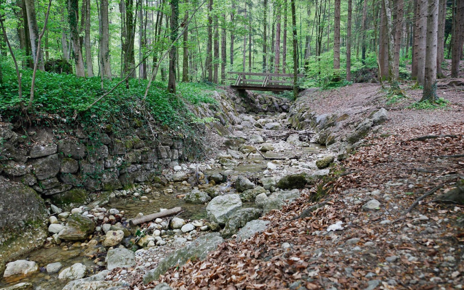 Winding paths in Aigner Park